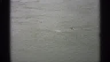 Minnesota USA (1965): Flood Waters Covering Roadways And Nearing The Roof Of