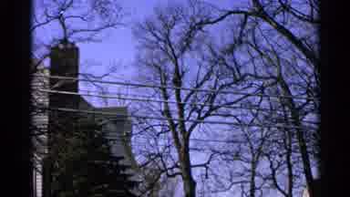 Minnesota USA (1965): A Building A Trees Are Seen With Telephone Wires Nearby Then