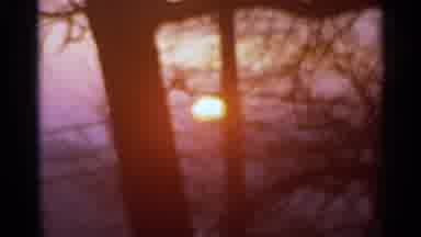 Hamel Minnesota (1966): Visual Of A Sunset Is Seen Through The Trees Then A Sign
