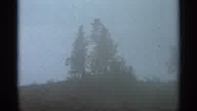 Hamel Minnesota (1966): Men Barbecue In The Woods And Then Go Boating On The Lake