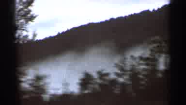 Hamel Minnesota (1966): Driving In A Car Through A Forest While Next To Foggy