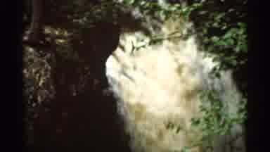 Hamel Minnesota (1966): Swift Running Waterfall On A Bright Sunny Day