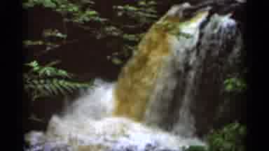Hamel Minnesota (1966): Jungle Waterfall Surrounded By Foliage And Blurry The