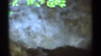 Hamel Minnesota (1966): A Creek That Is Flooded During Spring Rains In A Rural