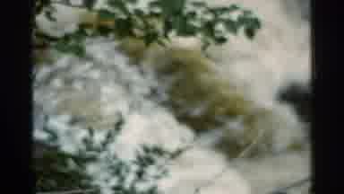 Hamel Minnesota (1966): Some Water Rushing By Underneath The Brush Of The Woods