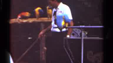 Saint Louis Missouri (1966): A Blue And Yellow Parrot Perches On A Fence Pole