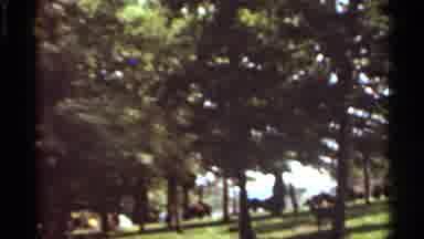 Saint Louis Missouri (1966): Green Trees And Deer On A Sunny Day