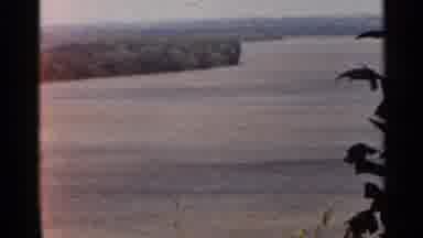 Saint Louis Missouri (1966): Trees Bend In The Wind As They Look Over A Wide