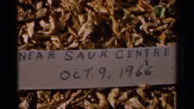 Sauk Centre Minnesota (1966): Autumn In Georgia
