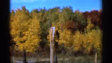 Sauk Centre Minnesota (1966): Color Of Nature