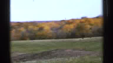 Sauk Centre Minnesota (1966): Watching A Beautiful Field Outside During A Sunny