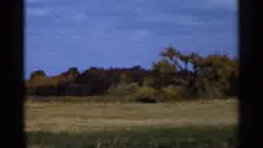 Sauk Centre Minnesota (1966): Sky And Forest And Yellow Toss Nice Place