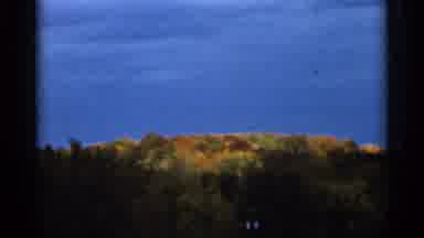 Sauk Centre Minnesota (1966): A Hill Is Shown With Small Bushes And Undergrowth