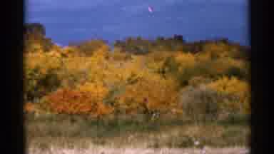 Sauk Centre Minnesota (1966): Fall Scenery With Flashing Light Colorful Trees