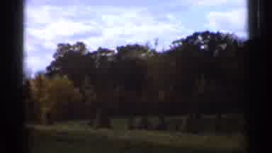 Sauk Centre Minnesota (1966): Big Field Of Trees With Beautiful Colors