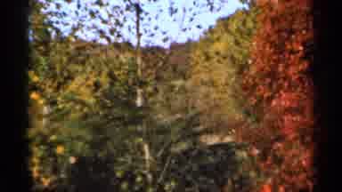 Sauk Centre Minnesota (1966): Swaying Trees In The Wind