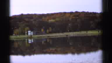 Sauk Centre Minnesota (1966): Outdoor Scenery Of Tree And Forest At Sauk Center In