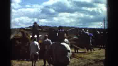 Wauseon Ohio (1966): A Bunch Of People Who Are Mucking Hay Into A Different Area