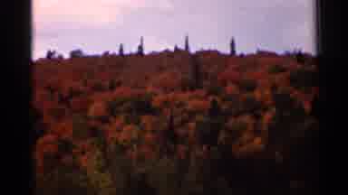 Wauseon Ohio (1966): Autumn Forest Scenery Over A Hill On A Cloudy Day