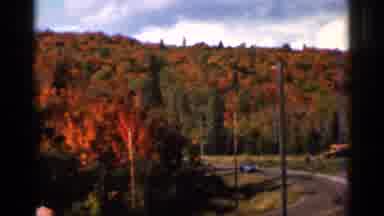 Wauseon Ohio (1966): Enjoy Fresh Breeze Of Autumn Fall Leaves Showing Forested