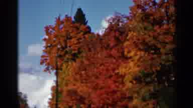 Wauseon Ohio (1966): Autumn In Alabama