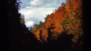 Wauseon Ohio (1966): Fall Tree Colors On A Bright Sunny Day