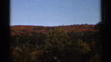 Wauseon Ohio (1966): Fall Tree Colors On A Bright Sunny Day