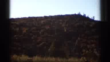 Wauseon Ohio (1966): Different Areas Of Fall Foliage In Nature And In The