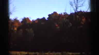 Wauseon Ohio (1966): Panning Trees Showing Off Their Fall Colors Before The Leaves