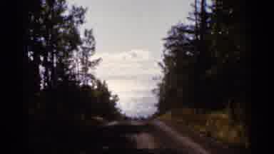 Wauseon Ohio (1966): Forested Road Near Sauk Center October 9 1966