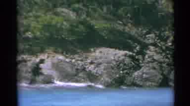 US Virgin Islands (1967): A Beach Of Stones And Trees In The Blue Sea In The Sun