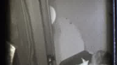 Danielson Connecticut (1939): Young Boy On The Toilet Needs Help Getting Toilet