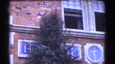 San Francisco California (1944): Film Of Window And Tree At Hospital