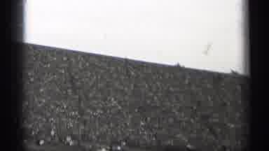 San Francisco California (1944): Football Back In Days