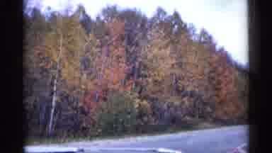 Michigan USA (1960): Passing Trees Turning Red Gold And Grandmother Father All