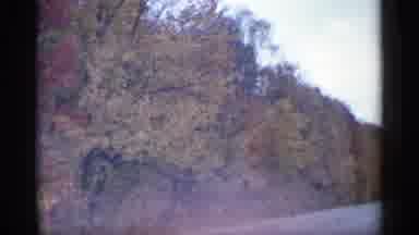 Michigan USA (1960): Rod With Colorfulness Trees And Water With Bridge
