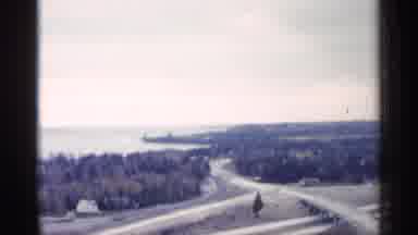 Michigan USA (1960): Big Open Field Of Trees With Like In End