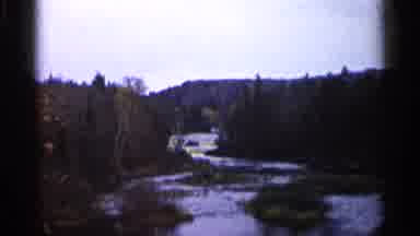 Michigan USA (1960): Landscape Shots Of Car And Coniferous Trees In Forest