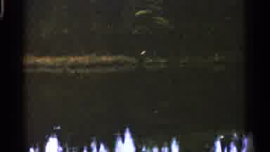 Michigan USA (1960): Objects Floating In Water And Prettily Open D On Cleo Day