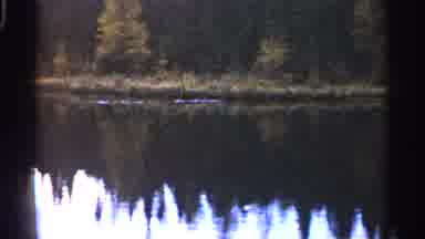 Michigan USA (1960): Like With Trees On Shore