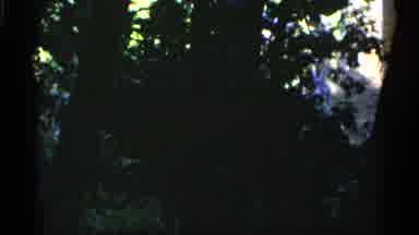 Michigan USA (1960): Beautiful And Long Water Fells Looking Gorgeous And To See