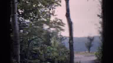 Michigan USA (1960): Wonderful Hillside Trees Stands Tall And Grey Climate To