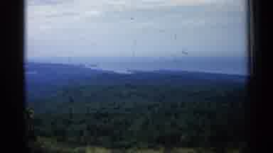 Michigan USA (1960): Huge Field Of Trees With Ocean In End