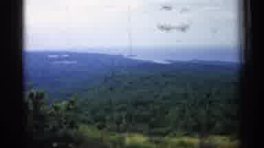 Michigan USA (1960): Big Field Of Trees With Ocean In End