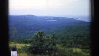 Michigan USA (1960): Old Film Style Footage Of Dense Farthermost With Cloudy Skies