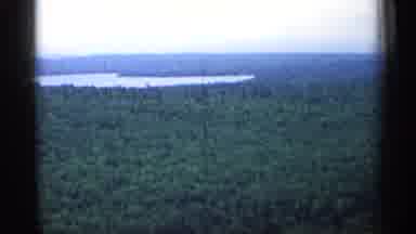 Michigan USA (1960): Big Field Of Trees With Mountains Surrounding It