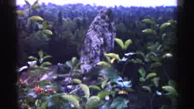 Michigan USA (1960): Rock In Jungle Nature Landscape And Two White Housemothers In