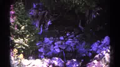 Michigan USA (1960): Bunch Of Rocks That Are Underneath Wooded Are That Is Very