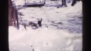 Minnesota USA (1961): Behindhand Brown Object On Sunny Day