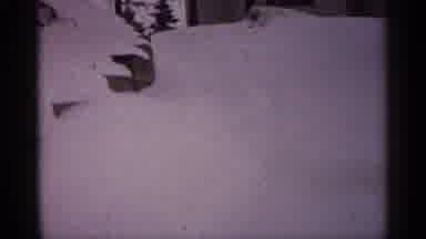 Minnesota USA (1961): Snow Drifts In Residential Are With Trees Prettily Shoveled